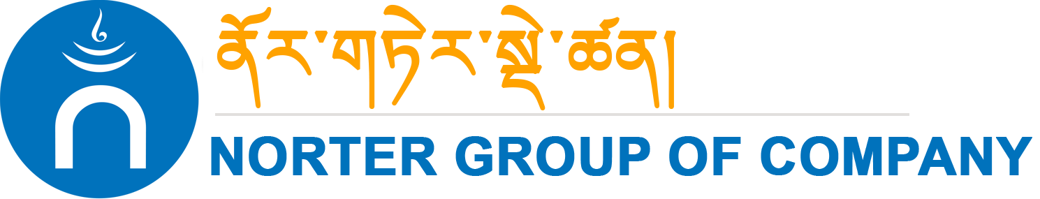 norter-Group-of-company-logo-final-